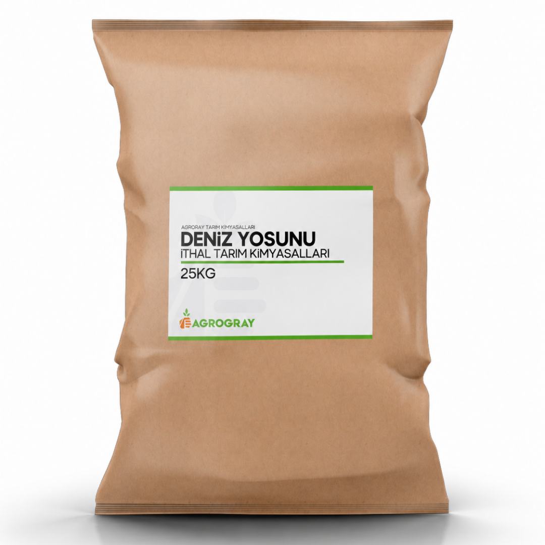 DENİZ YOSUNU